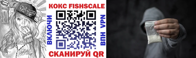 Купить закладки Белгород Cocaine Fish Scale