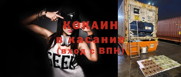 крисы Тутаев