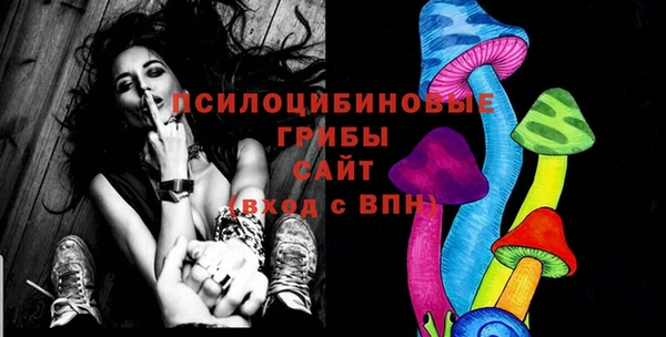 метадон Туринск