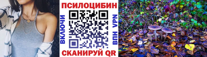 Псилоцибиновые грибы MAGIC MUSHROOMS  Купить закладки  Белгород 