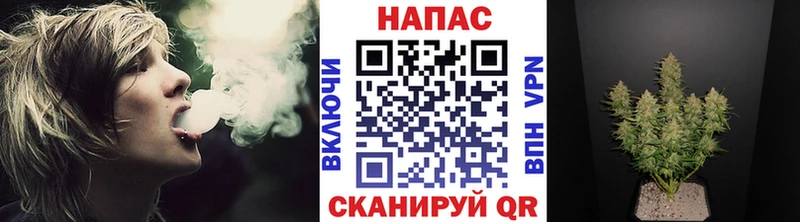 Купить закладки  Белгород  Конопля тримм 